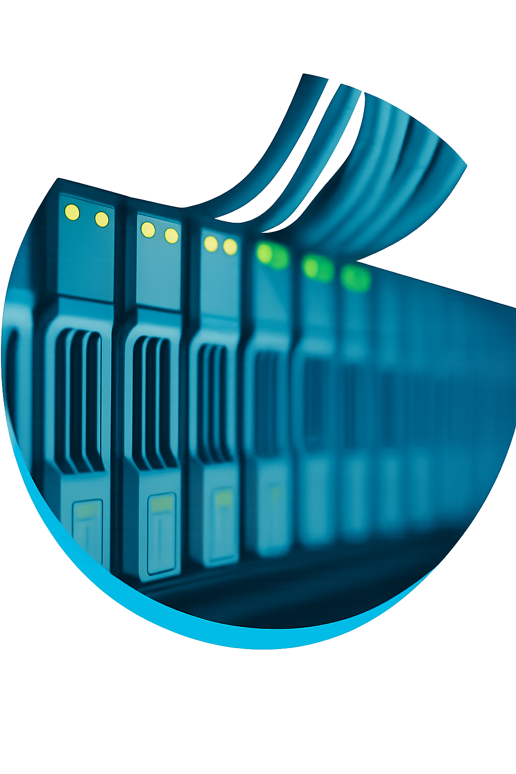 Descripción de la imagen